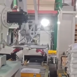 Robot gắp xếp hàng